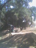 09-09-07_1530.jpg